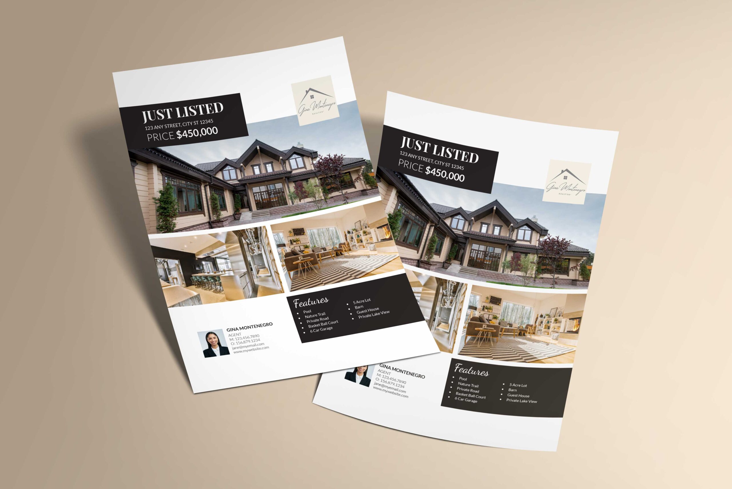 Realtor Property Promotion Flyer